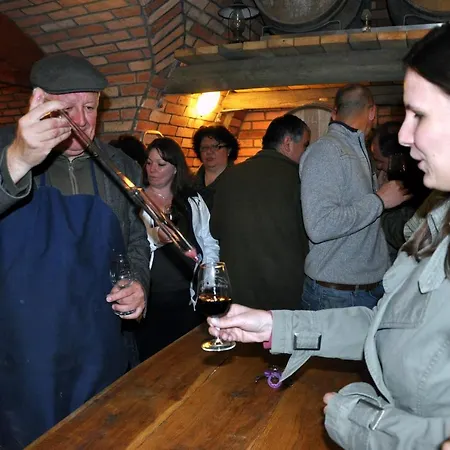 Πανσιόν Balatoni Krokodil Vendeghaz Nemesvita